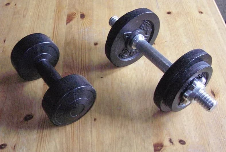 Adjustable Dumbbell Set — 20kg Pair — image 1