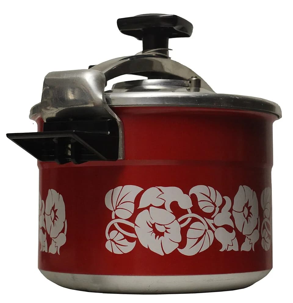 Stainless Steel Pressure Cooker 5L — image 1